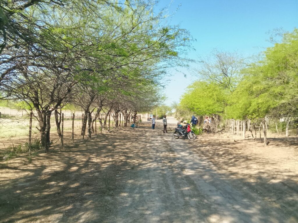 Operativo integral de limpieza en barrios de Colonia El Simbolar - SDE ...