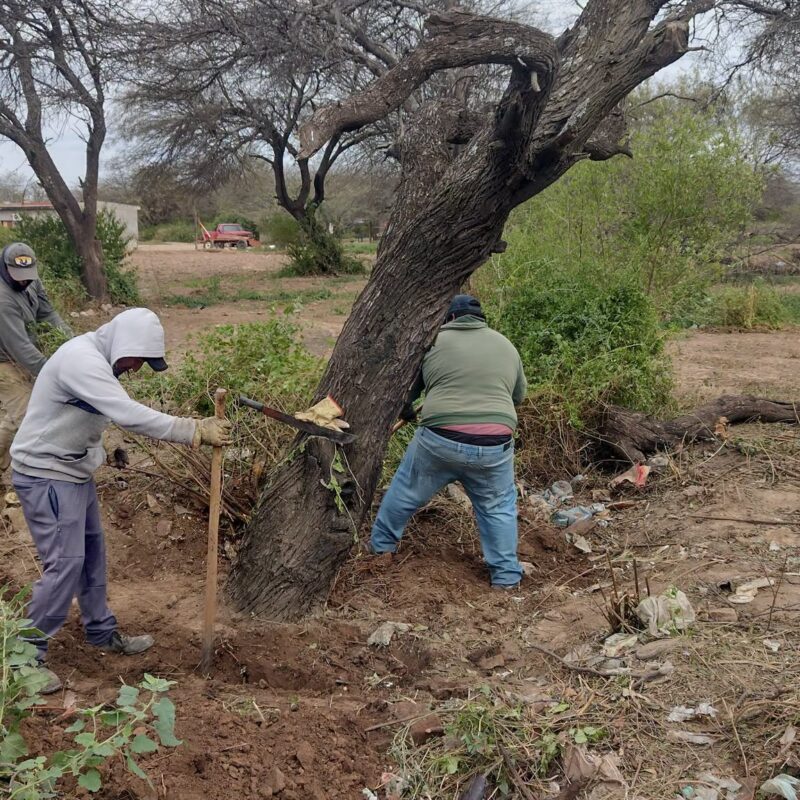 Colonia El Simbolar refuerza su sistema de drenaje con la apertura de nuevos desagües
