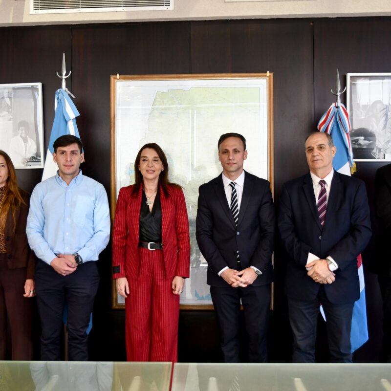 Gobierno y el Colegio de Psicólogos trabajan en pos de la comunidad