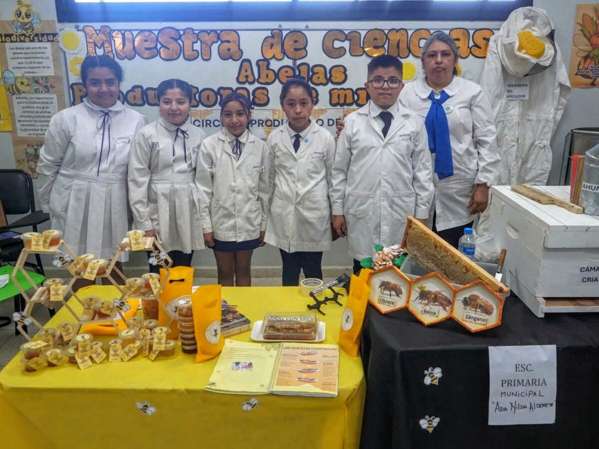 El sistema educativo municipal se prepara para la 3° Feria de ciencias, tecnología y artes